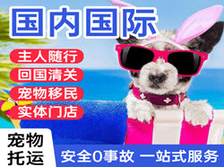阿勒泰雪都航空物流国际宠物托运 【国